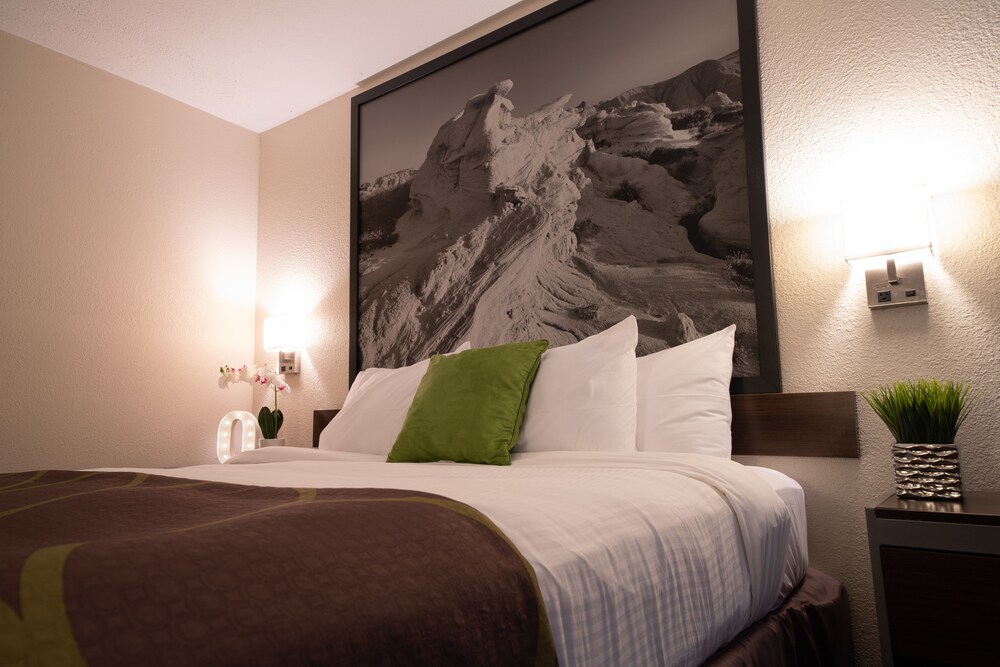 402 Hotel - photo 23