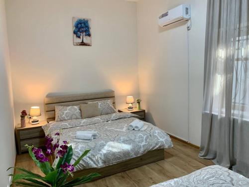 Niko Pirosmani 3 room apartment in Old Tbilisi