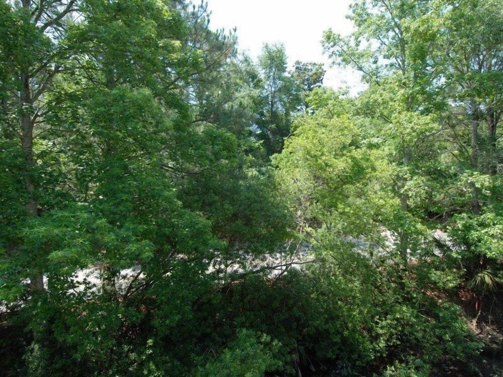 Tennismaster 1104 - photo 25