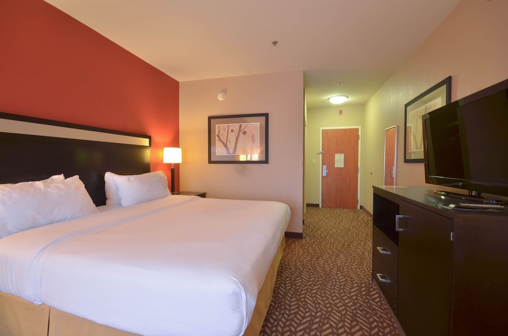 Holiday Inn Express Hotel & Suites Pine Bluff Pines Mall an IHG Hotel - photo 5