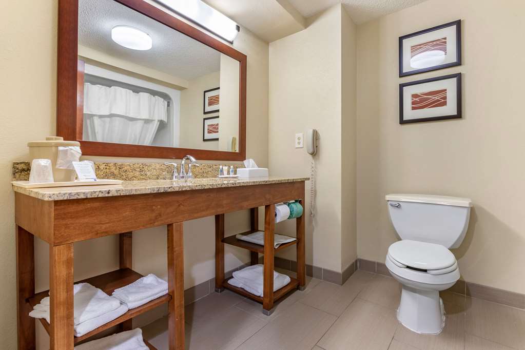 Comfort Inn Blythewood North Columbia - photo 23