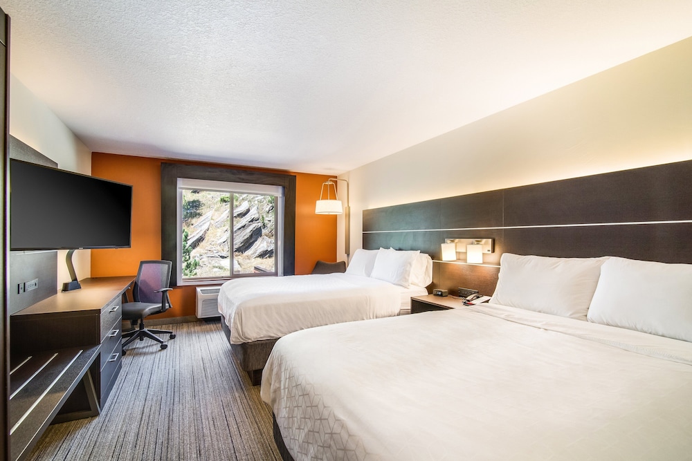 Holiday Inn Express & Suites Custer Mt Rushmore - photo 13