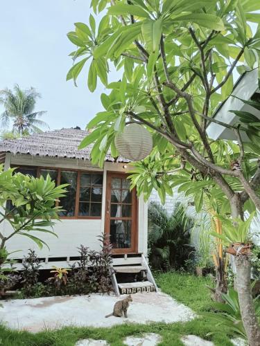 Balla Naila in Gili Trawangan, Indonesia