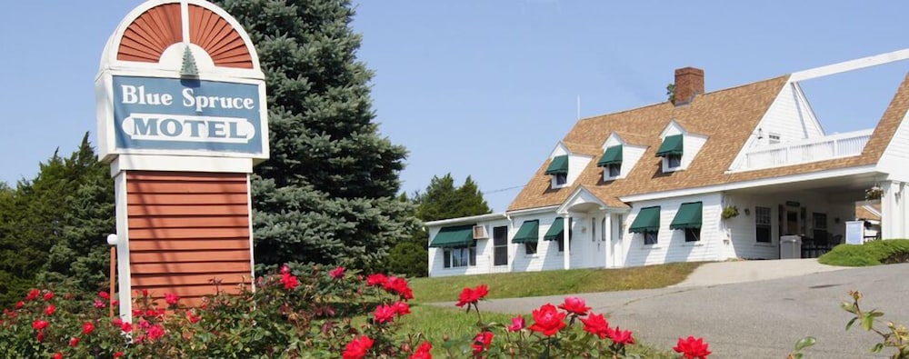 Blue Spruce Motel & Townhouses - photo 33