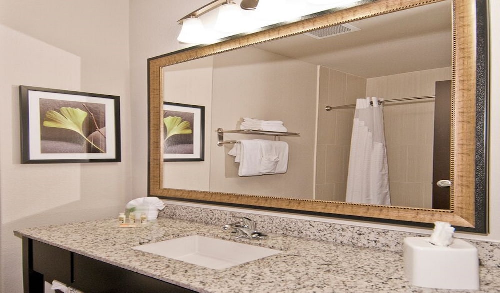 Holiday Inn Austin Airport by IHG - photo 16