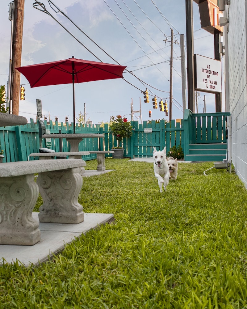 Thunderbird Inn - photo 21