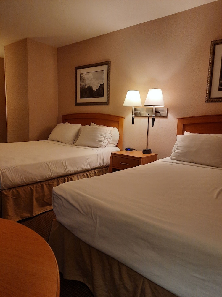 RiverTree Inn & Suites - photo 5