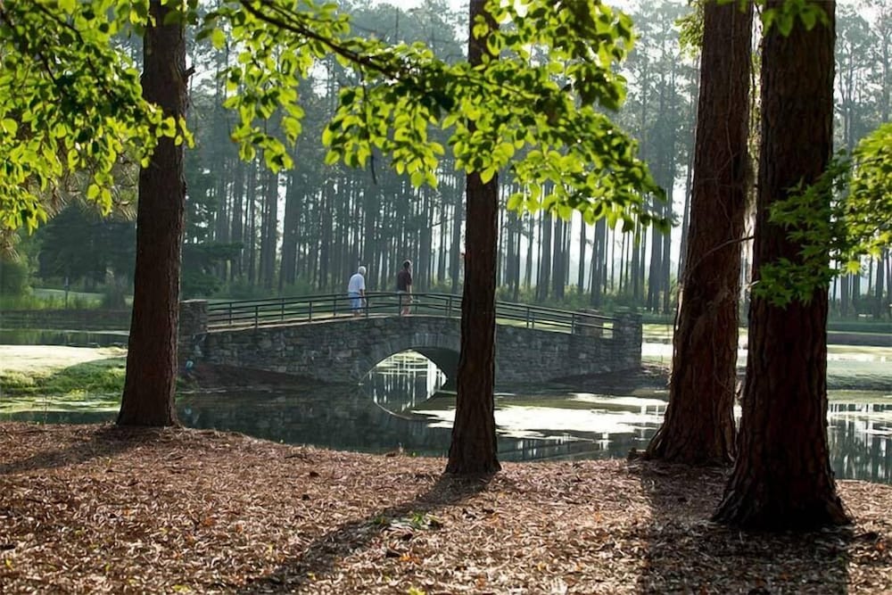 Little Ocmulgee State Park and Lodge - photo 12