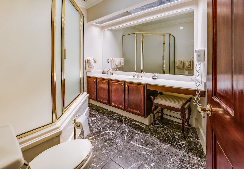 Plaza Suites Downtown New Orleans - photo 27