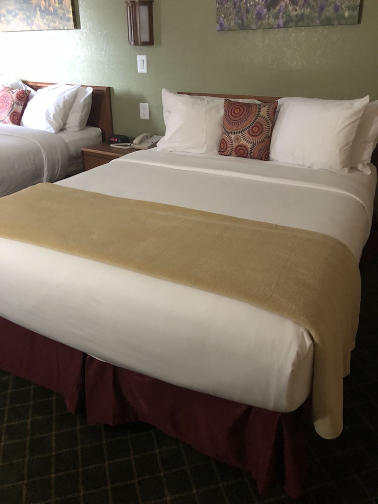 Red River Inn Silt Rifle - photo 10
