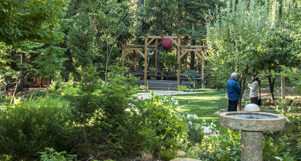 Harmony Ridge Lodge - photo 35