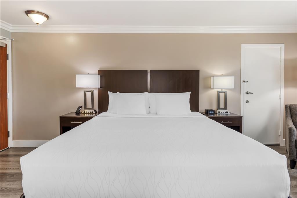 Best Western Plus LA Mid Town Hotel - photo 29