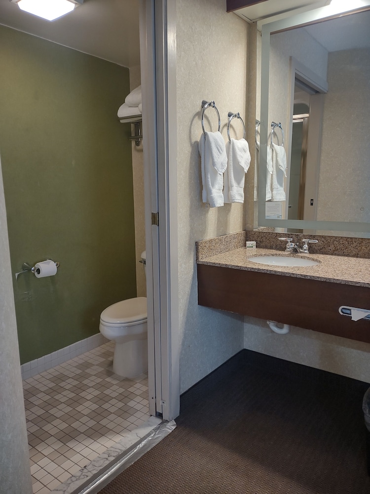 Baymont by Wyndham Flat Rock - photo 23