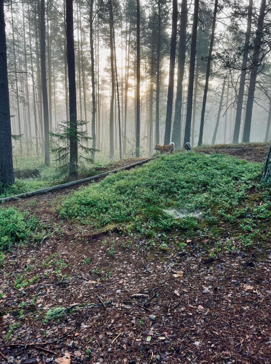 River Dom in Jurmala, Latvia