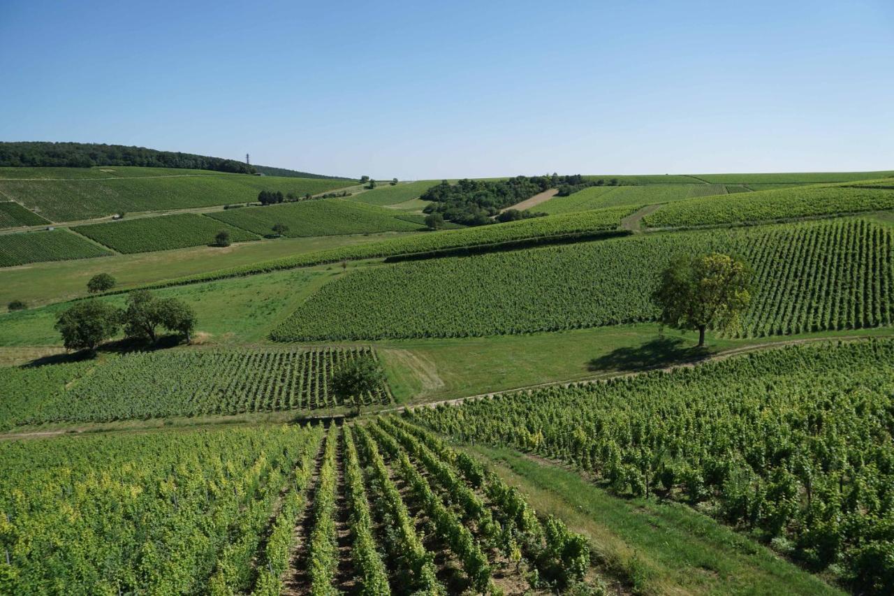 Au Pied Des Vignes — Sancerre
