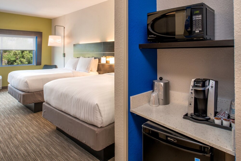Holiday Inn Express & Suites Tampa North Wesley Chapel by IHG - photo 2