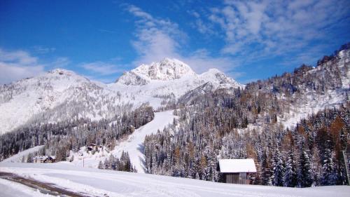 Alpenhof Plattner - last minute hotel in Hermagor