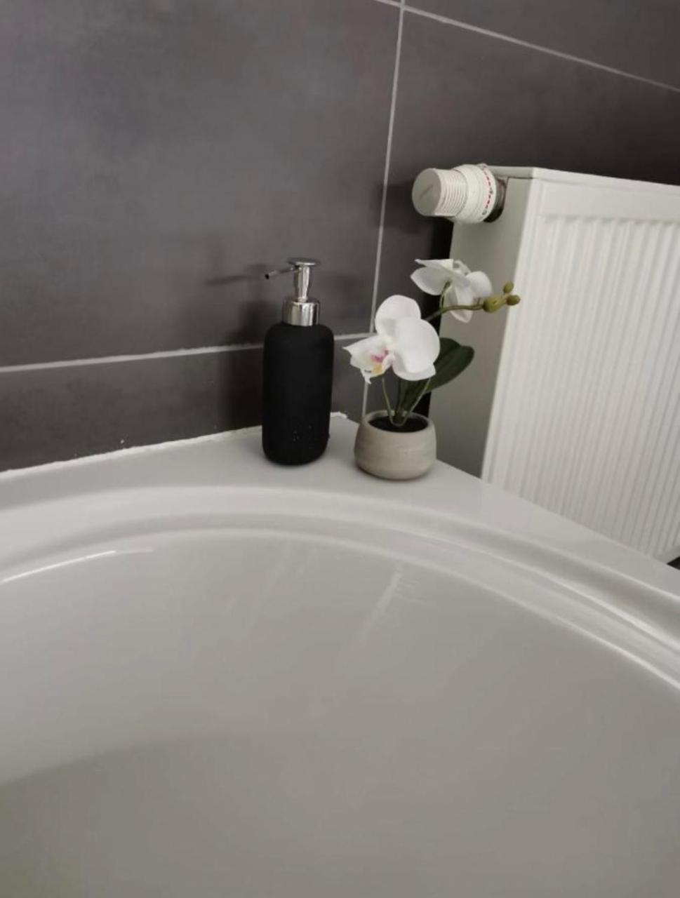 La Suite 159 — Namur — photo 2