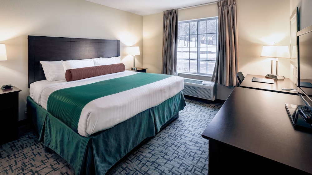 Cobblestone Inn & Suites Durand - photo 28