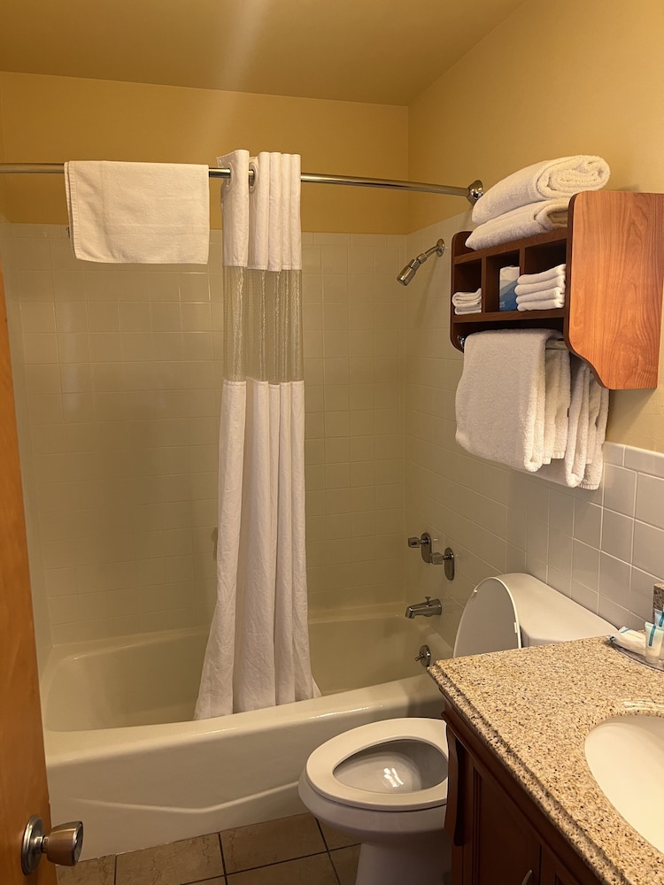 All Star Inn & Suites - photo 317