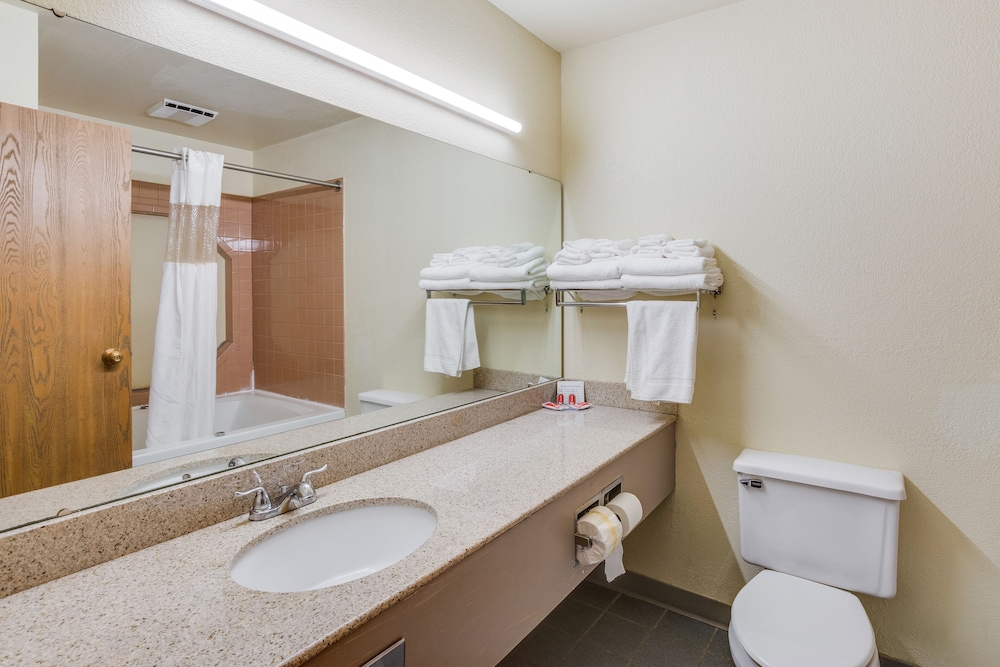 Econo Lodge Whitehall near Michigan's Adventure - photo 14
