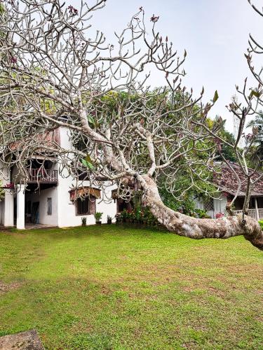 House of Merchants — 4-Star Luxury Hotel in Galle, Sri Lanka