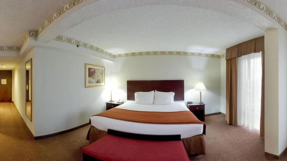 Holiday Inn Express Atlanta W I 20 Douglasville by IHG - photo 10