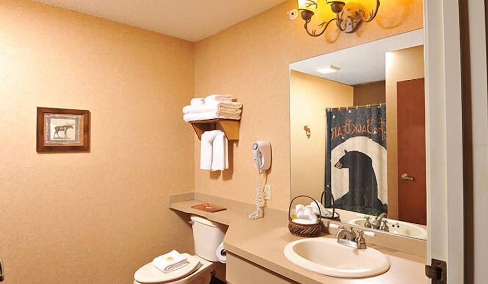Boarders Inn & Suites by Cobblestone Hotels Waukon - photo 22