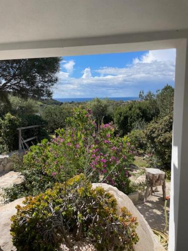 Villa Valeria — Solanas — photo 3