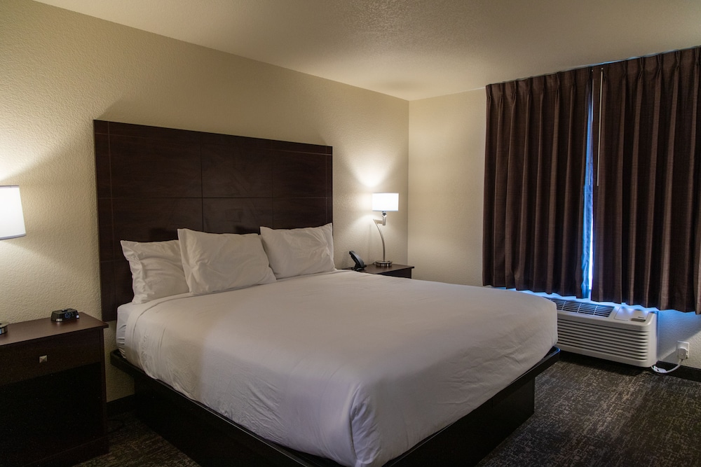 Cobblestone Inn & Suites of Springfield - photo 13