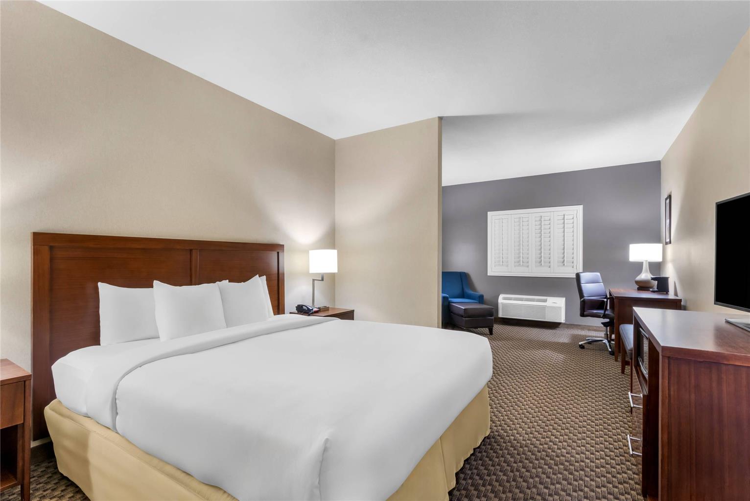 Comfort Inn & Suites Thatcher Safford - photo 23