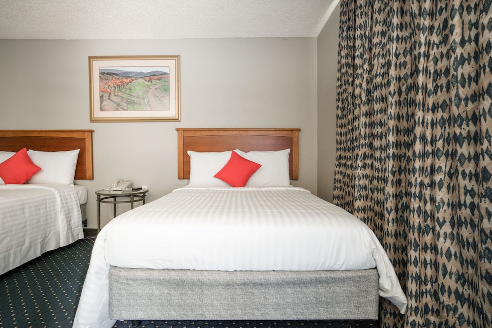 OYO Inn Dallas South - photo 17