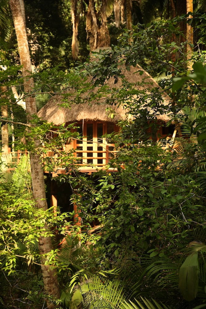Aldea Bamboo Village Glamping — San Francisco