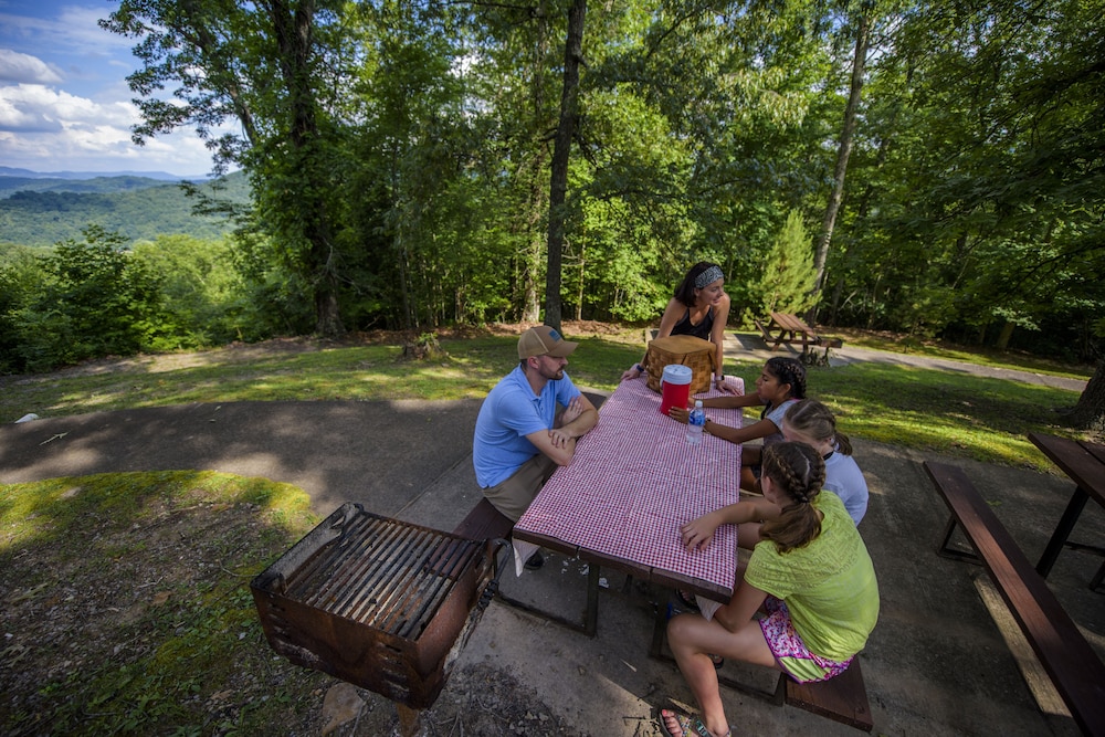 Pine Mountain State Resort Park - photo 53