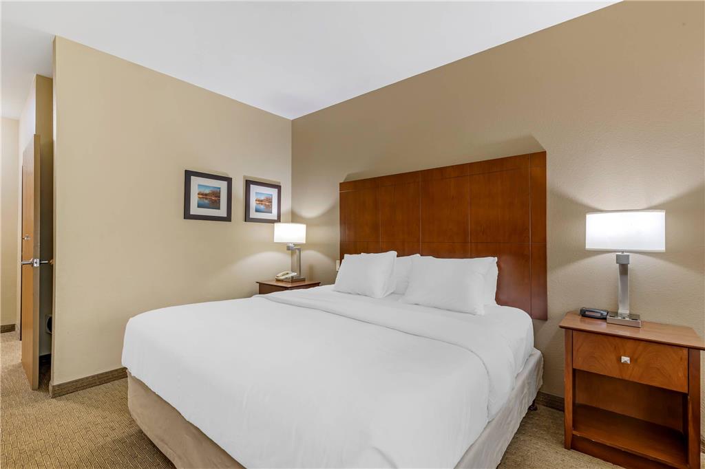 Comfort Inn & Suites East Moline near I 80 - photo 20