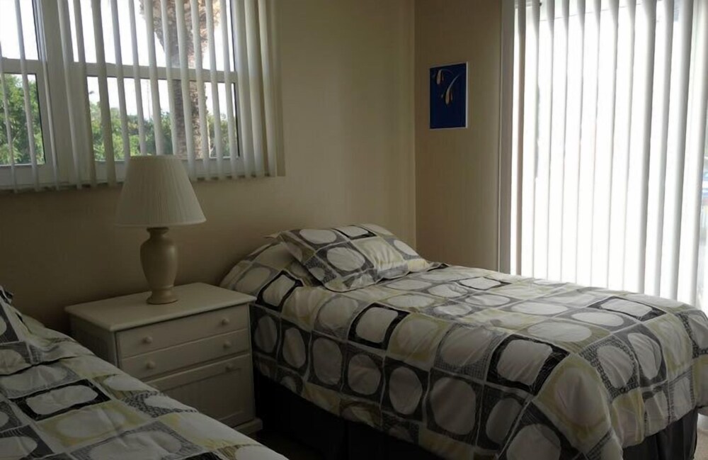 Palm Terrace - photo 12