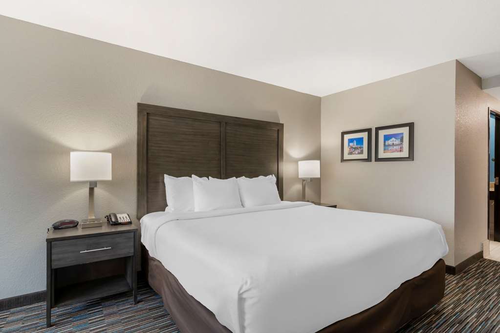 Comfort Inn and Suites Near Medical Center - photo 12