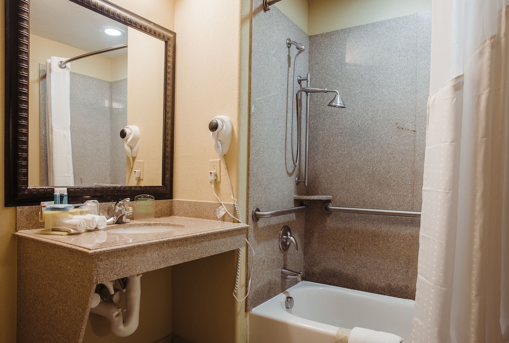 Holiday Inn Express & Suites Waller Prairie View by IHG - photo 23