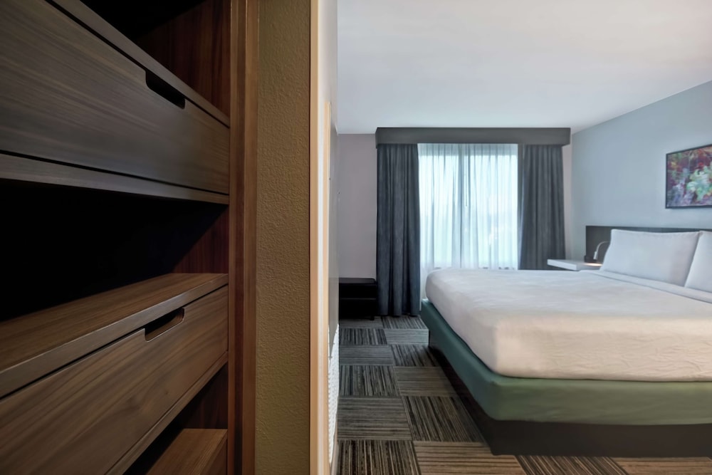 Hilton Garden Inn Houston Galleria Area - photo 13