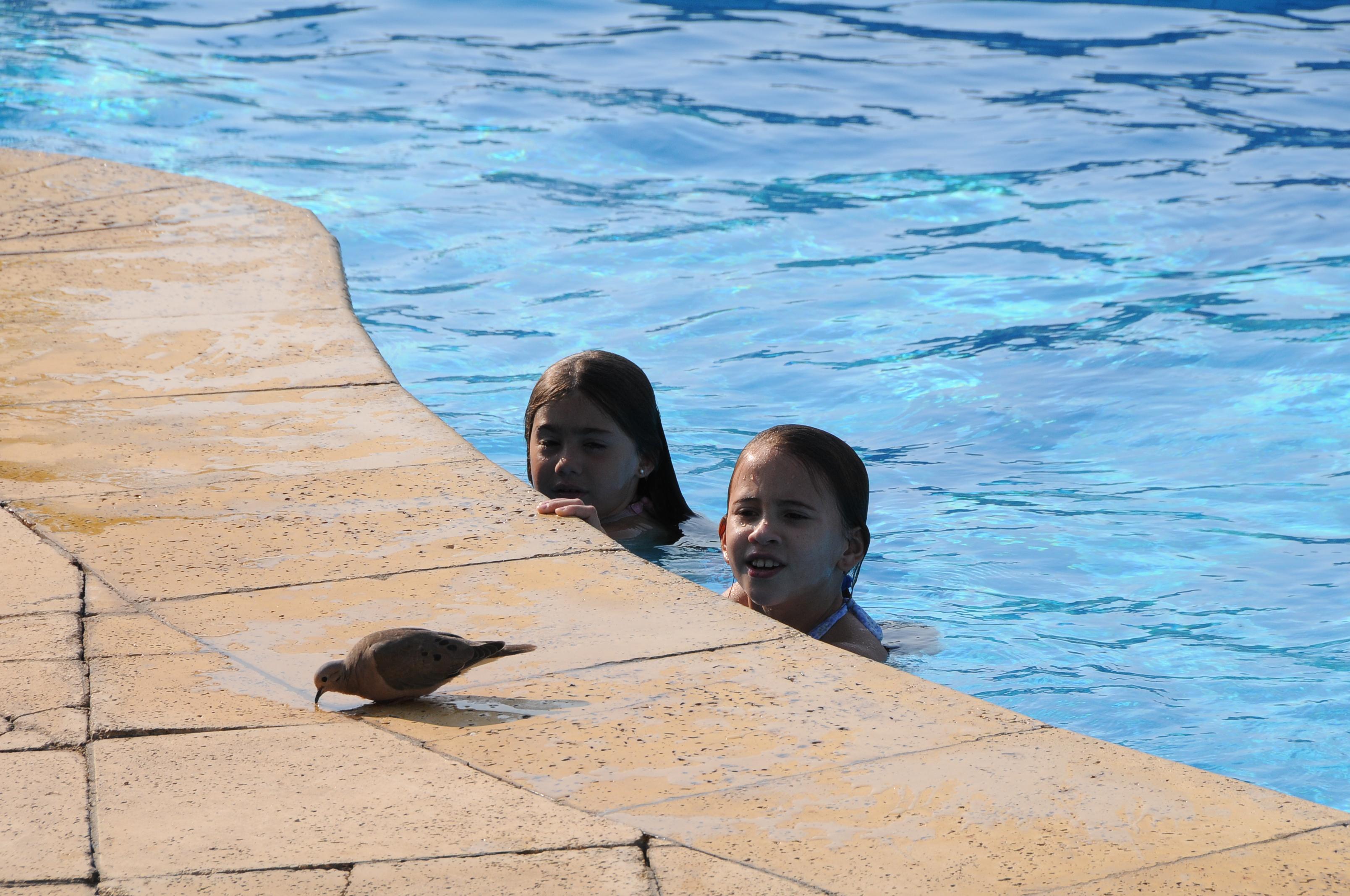 Arapey Oasis Termal Hotel — Salto — photo 3
