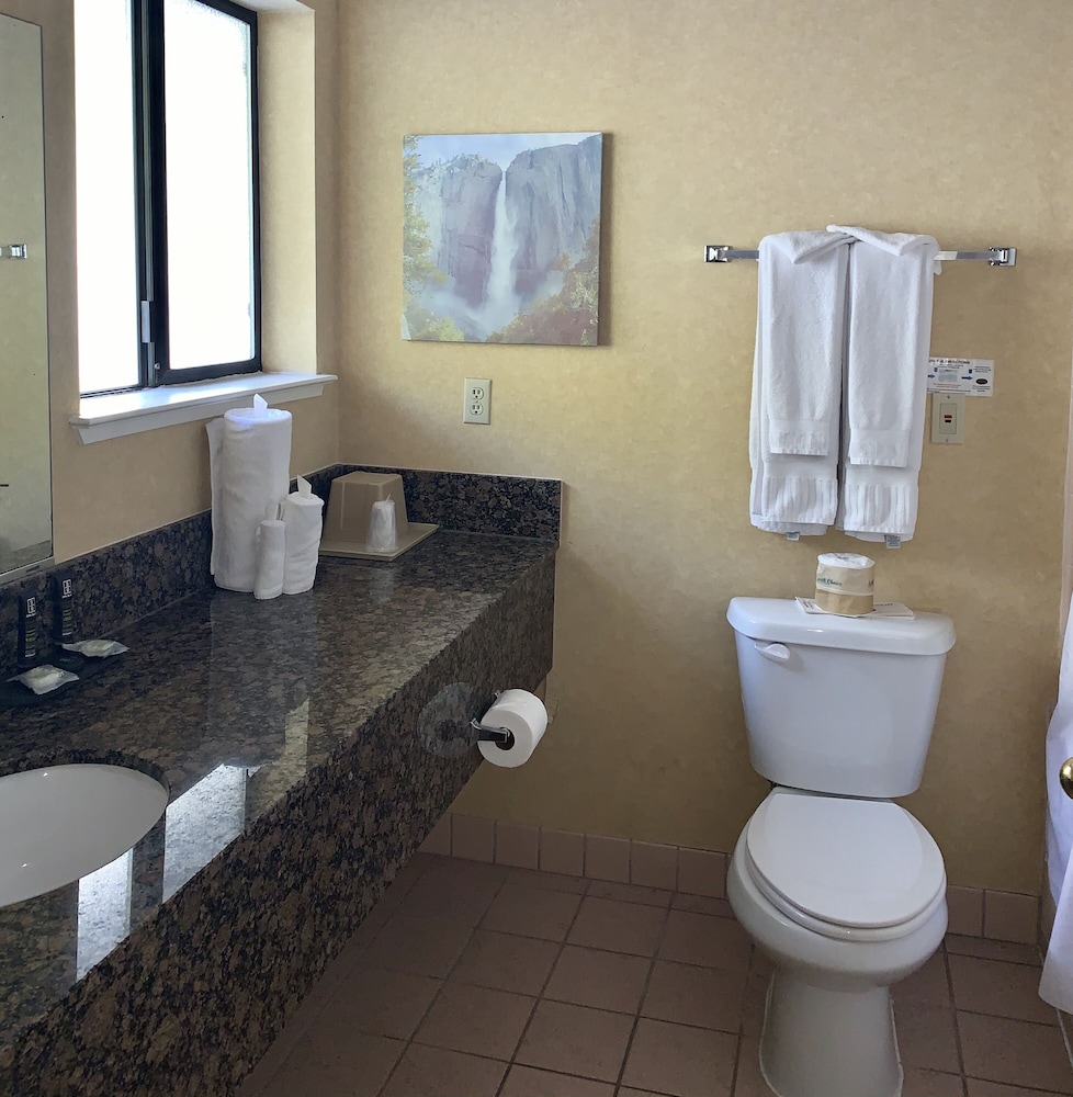 Yosemite View Lodge - photo 48