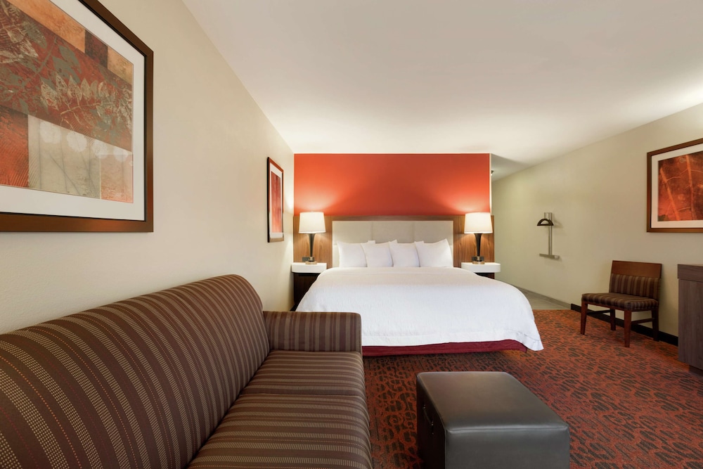 Hampton Inn Wichita Falls Sikes Senter Mall - photo 19