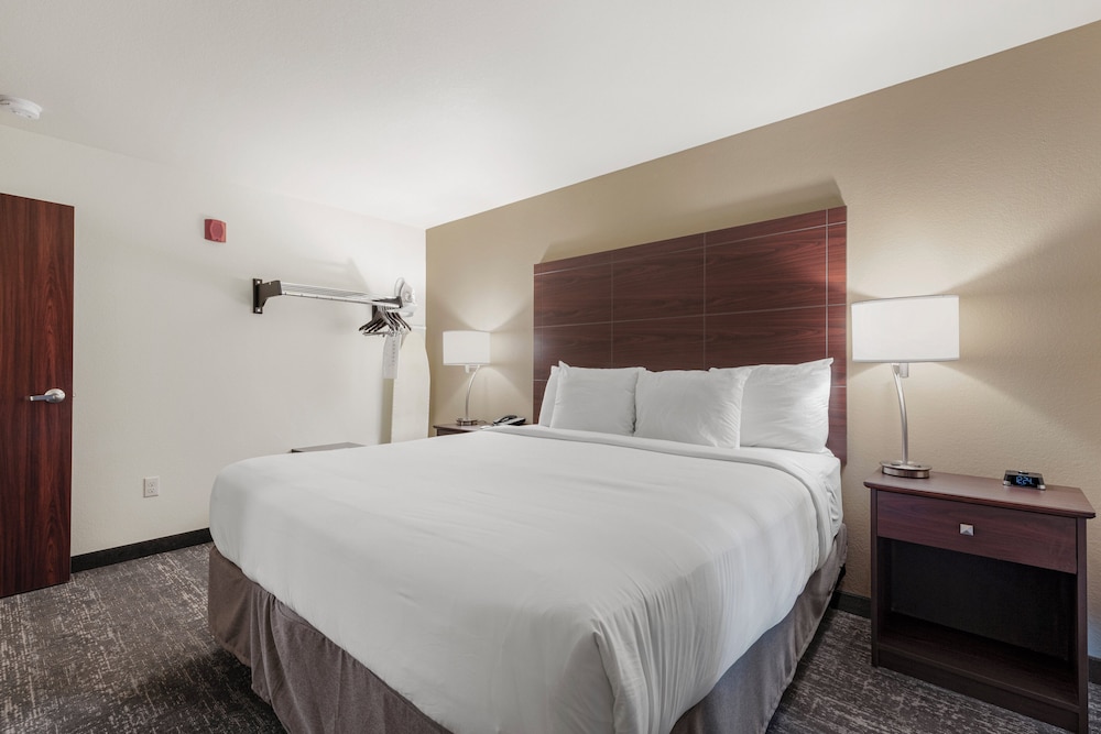 Cobblestone Hotel & Suites Urbana - photo 16