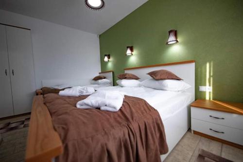 Casa Sofia Avrig — Avrig — photo 2
