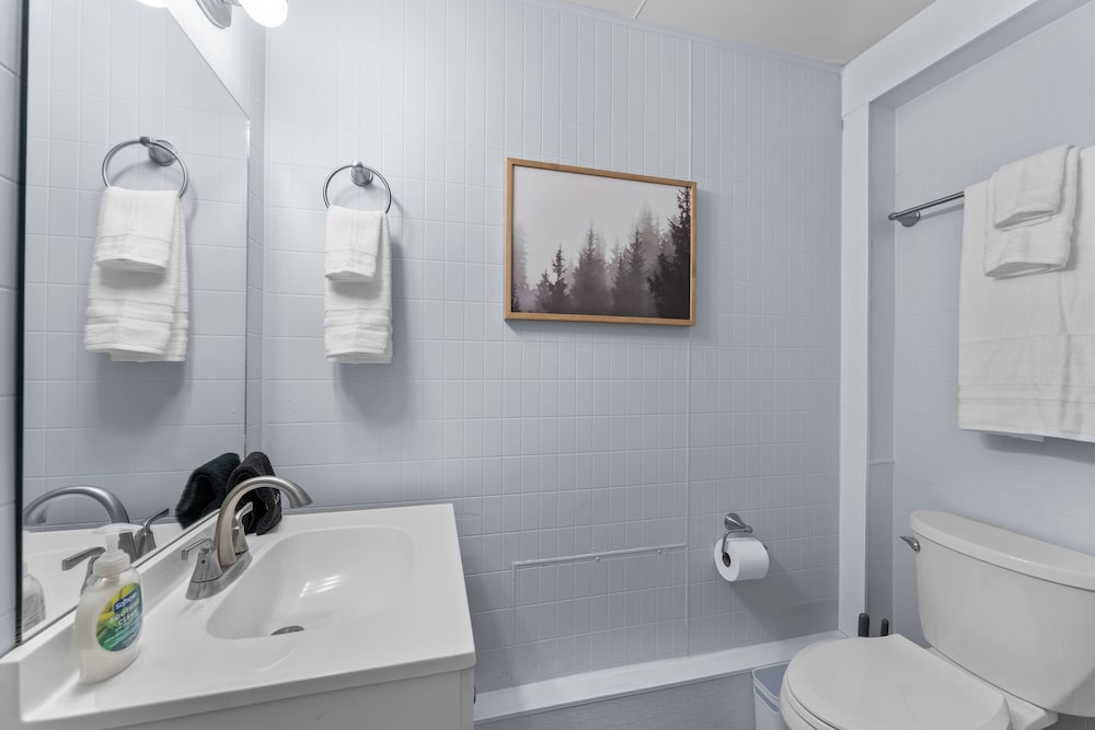 Silver Cove Resort on Table Rock unit 17 - photo 16