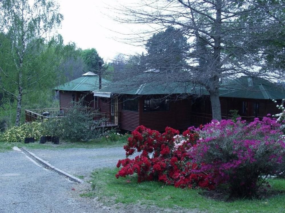 Maple Grove - last minute hotel in Port Elizabeth