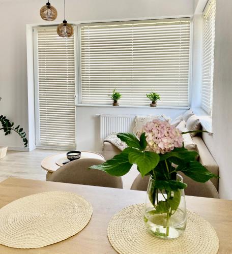 Apartament Ogrodowy Zakatek Ii 19802396 — Uniejow