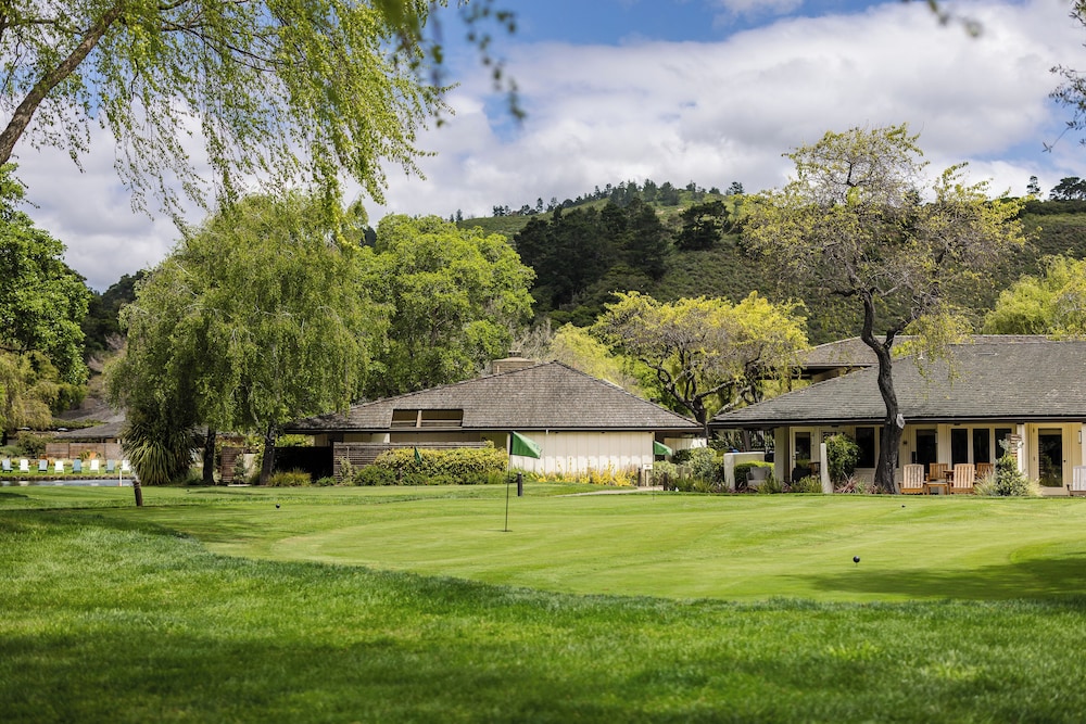 The Quail - photo 74