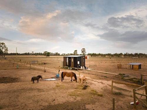 Tiny Rescue Retreat by Tiny Away - last minute hotel in Unknown City