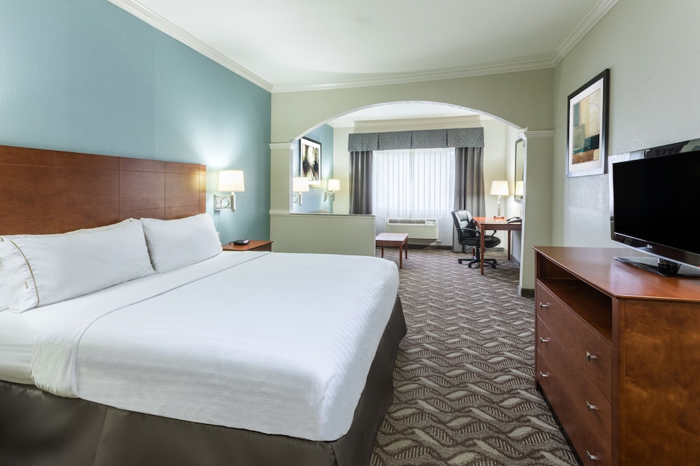 Holiday Inn Express Hotel & Suites Lake Charles by IHG - photo 4